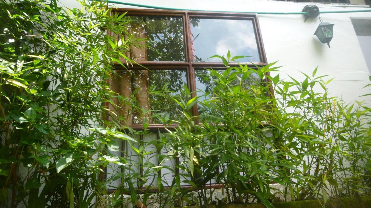 ArtVelez Hostel Salento Exterior foto